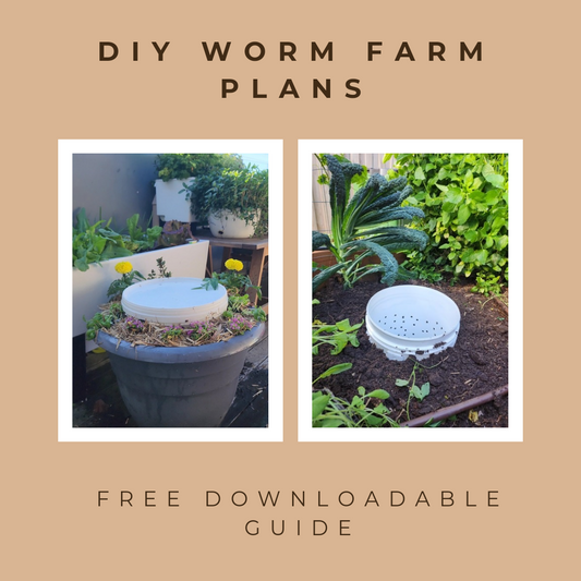 DIY Worm Farm Plans