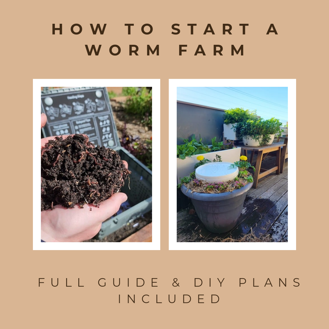 How To Start A Worm Farm